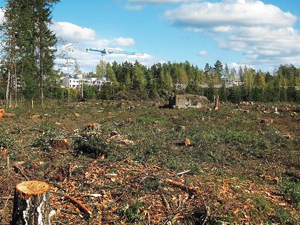 Deforested Field
