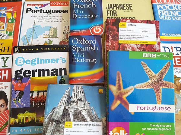 Foreign Language Translation Books