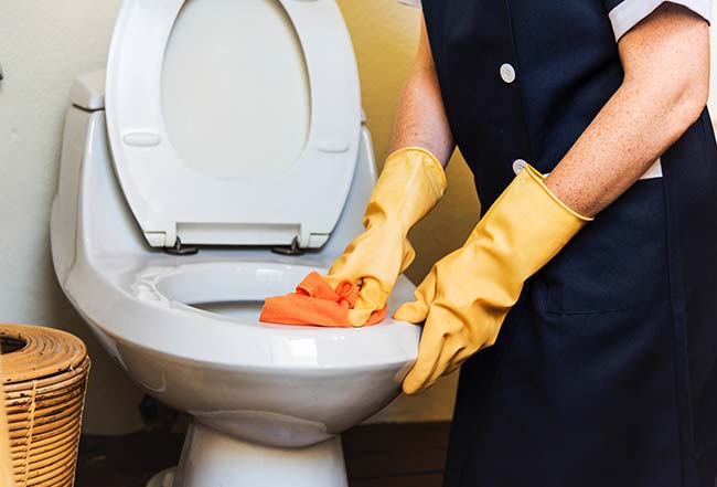 Cleaning Inside a Toilet Rim