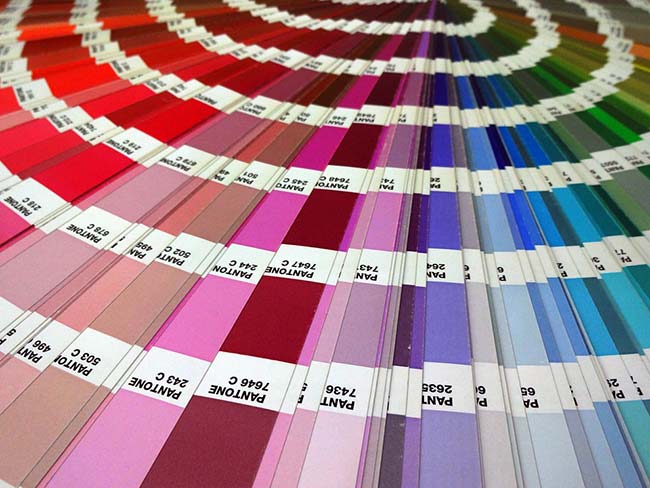 Pantone Colour Swatches