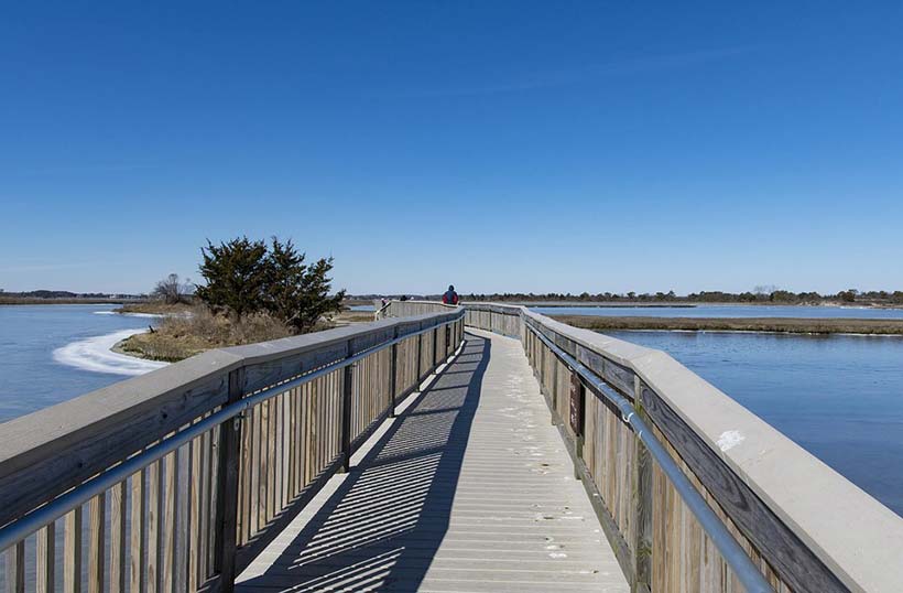 Assateague State Park